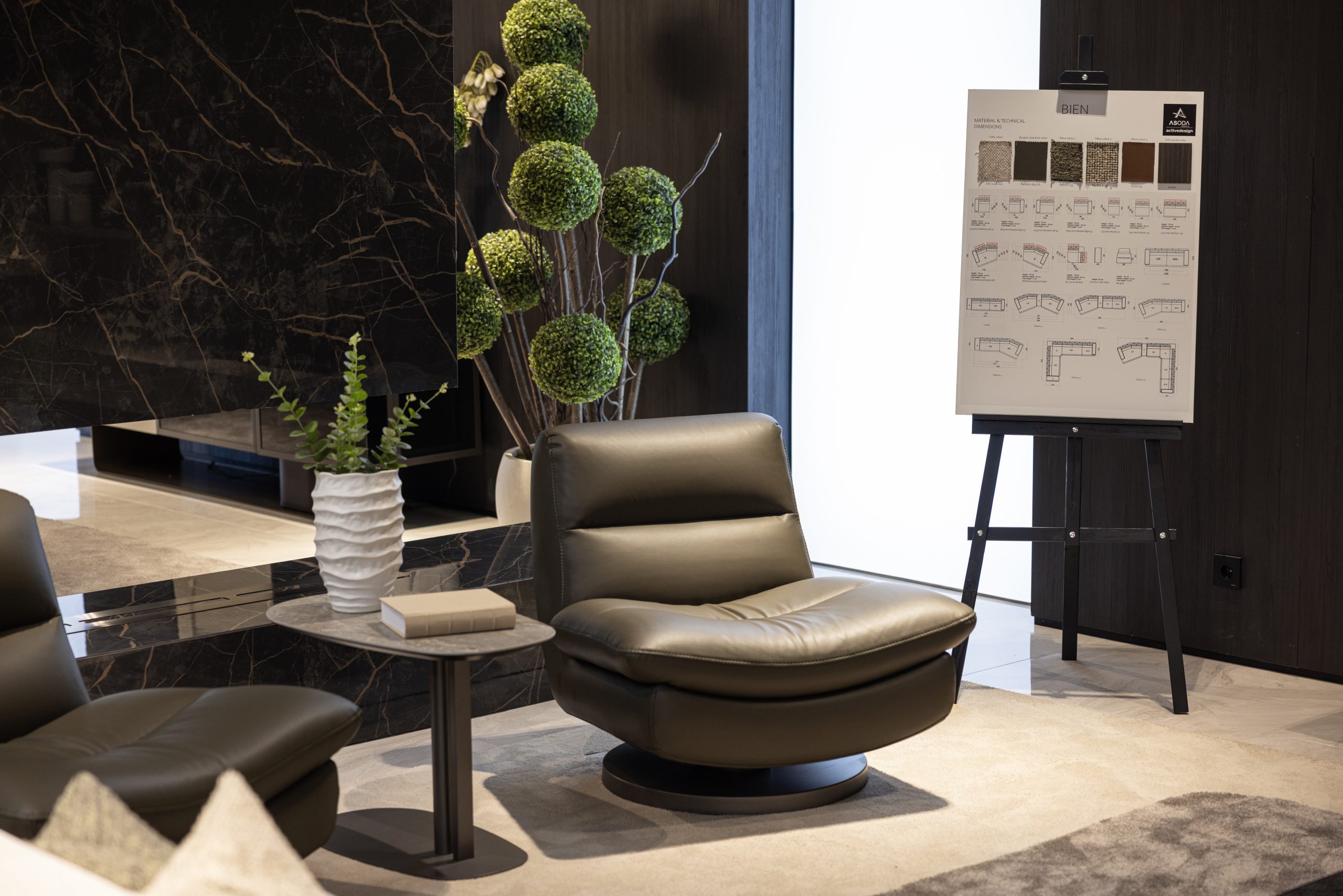 Bein Koltuk Takımı - Görsel 7